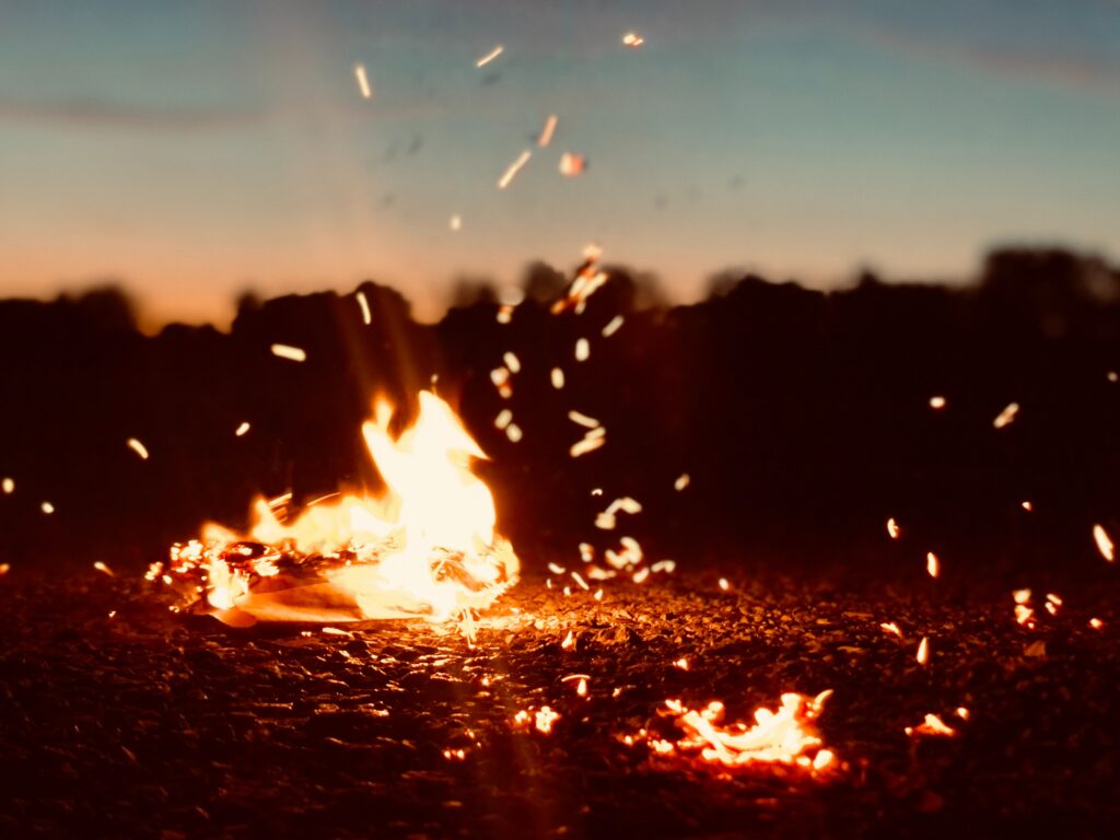 Fire Wood - Logi Firewalking
